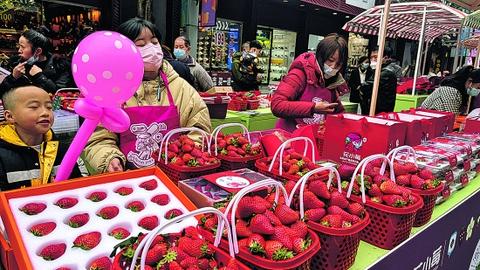 花溪草莓