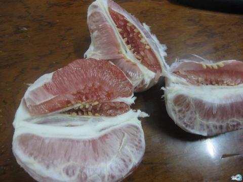 凤冈红心柚