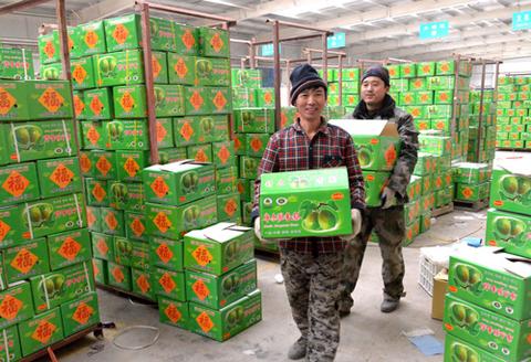 新疆兵团二十九团香梨