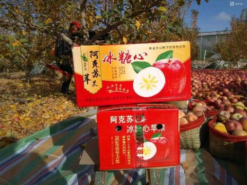 温宿苹果