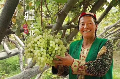 阿扎克葡萄