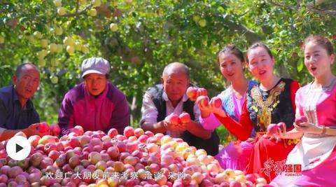 巩留苹果