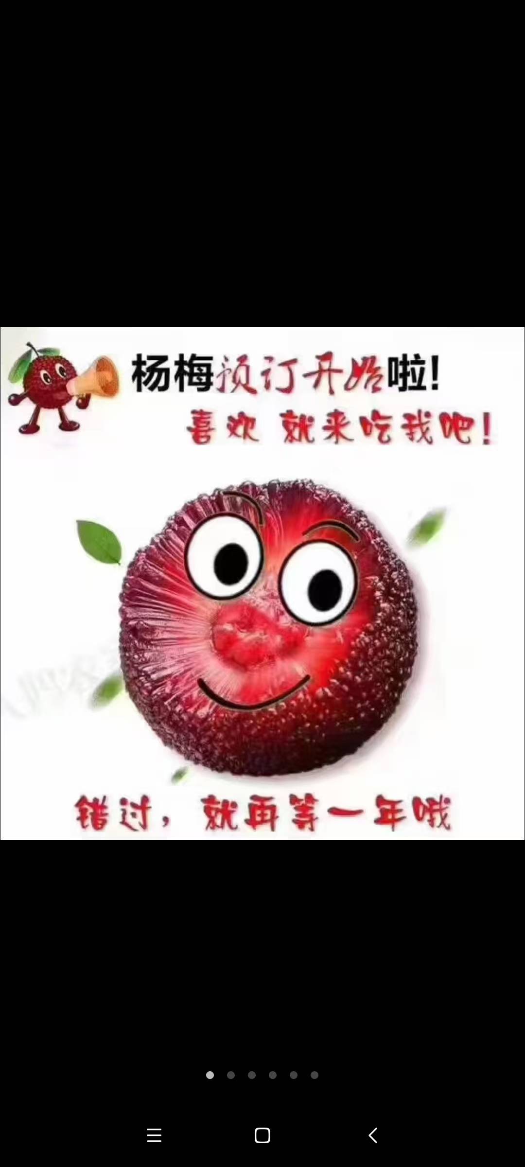 好吃的杨梅开售了，在线接单，快来联系我吧！