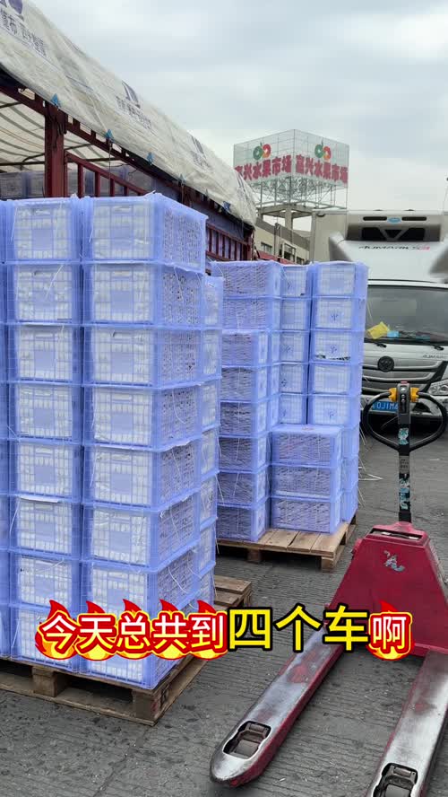 嘉兴水果市场贵妃芒集散中心