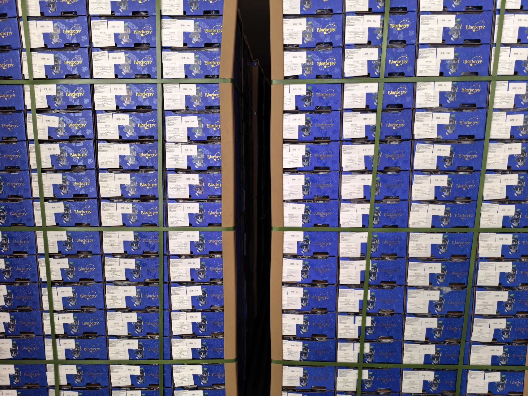 蓝莓出口量还是大的