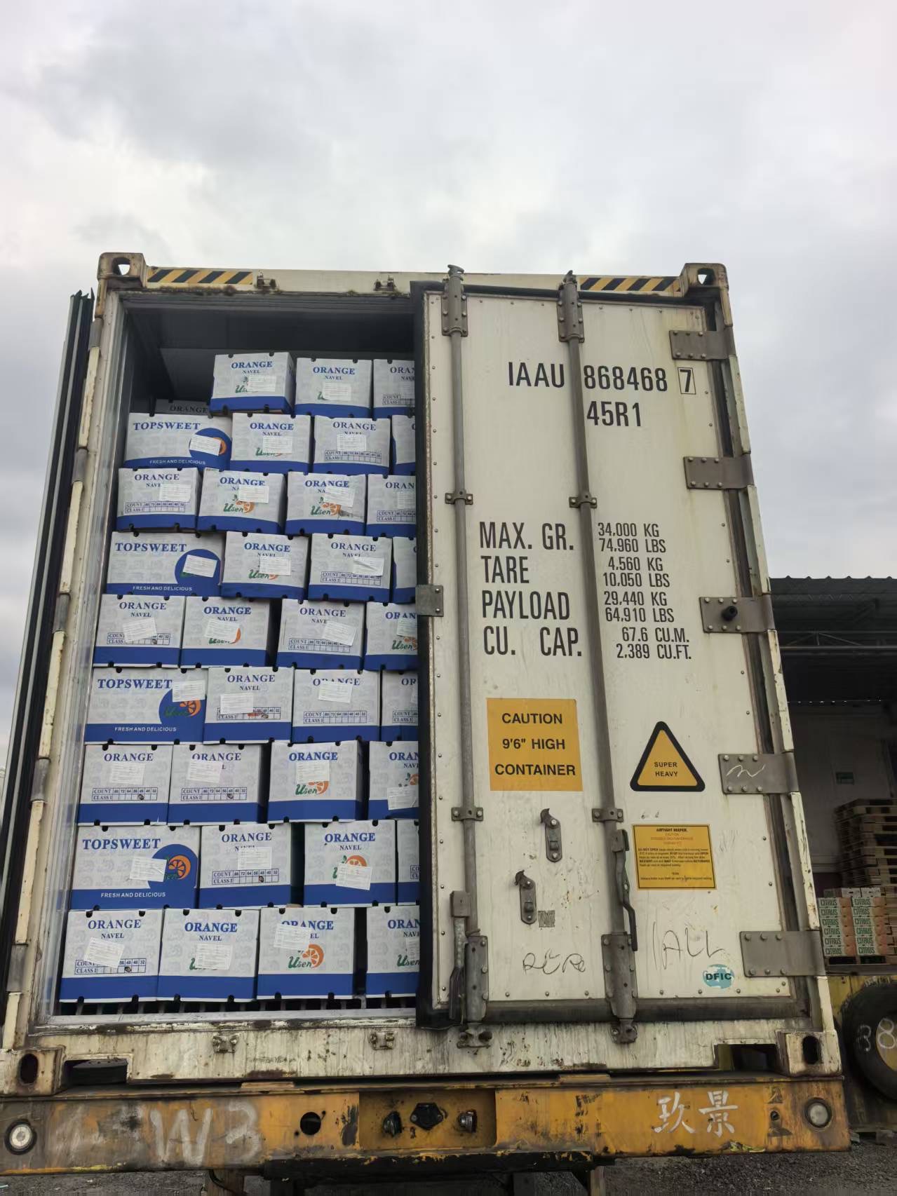 橙子，蓝莓，耙耙柑，整柜到达海外。