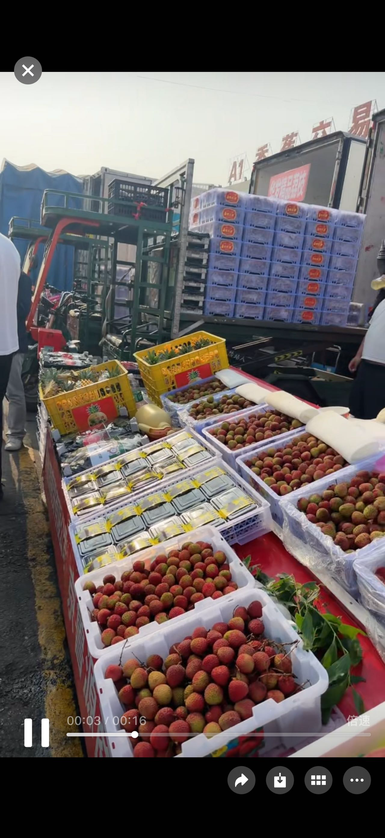 大家好，我们是京鲁源商贸，主营国产精品水果 代卖兼自营。
欢迎基地、货主和采购商