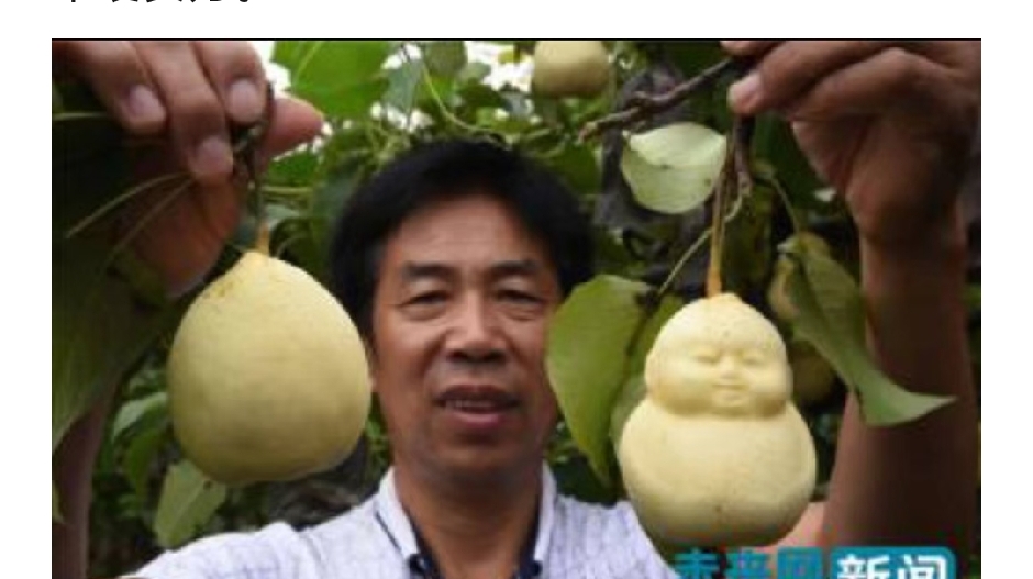 河北省邯郸市魏县