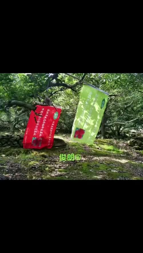 漫步在杨梅基地，依旧鸟语花香，一片生机盎然的景象，空气清新的有几分凉意。一支山水