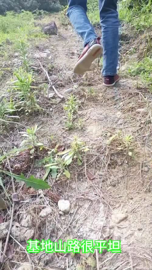 在互联网上看多了高品质的生活，而丢失了普通，所以人们渐渐忘了普通人是什么样的了。