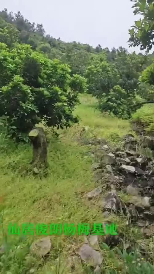 小时候会觉得农村的生活枯燥无味，等长大了才知道，比起诗和远方，会慢慢喜欢上这种人