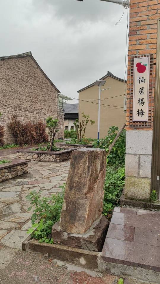 仙居的雨天生带着仙气，此刻发呆尤如修仙，是偷得半日闲，听雨，煮茶，品梅，等风来！
