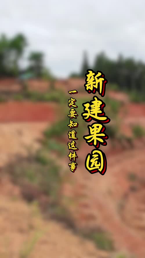 视频封面