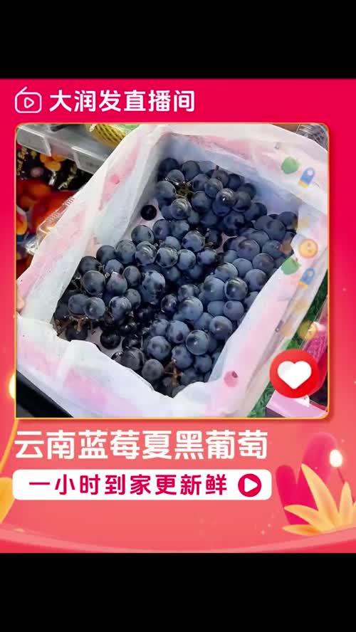 云南蓝莓夏黑葡萄1.4kg装(筐装) 不用吐籽的云南夏黑葡萄，真的巨好吃，快来尝