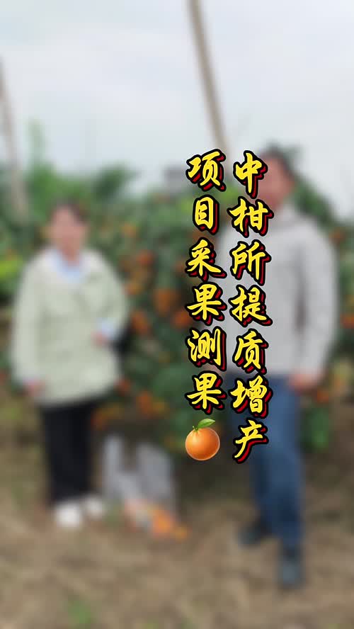 视频封面
