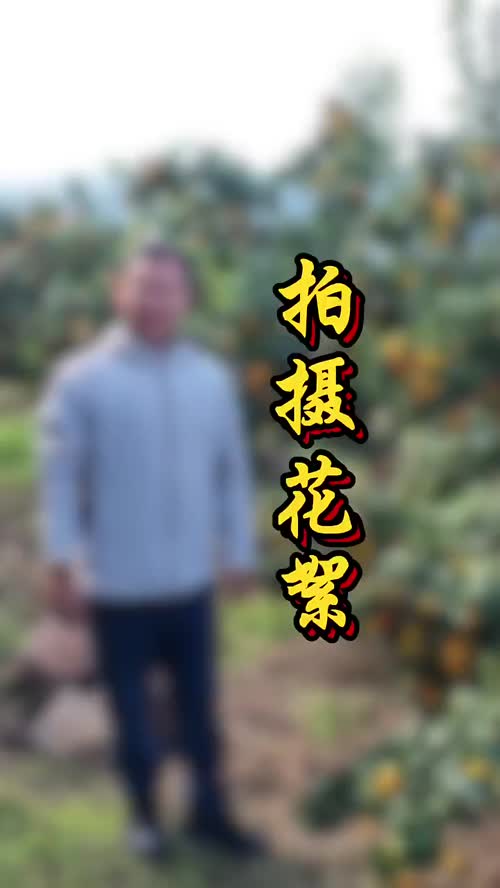 视频封面