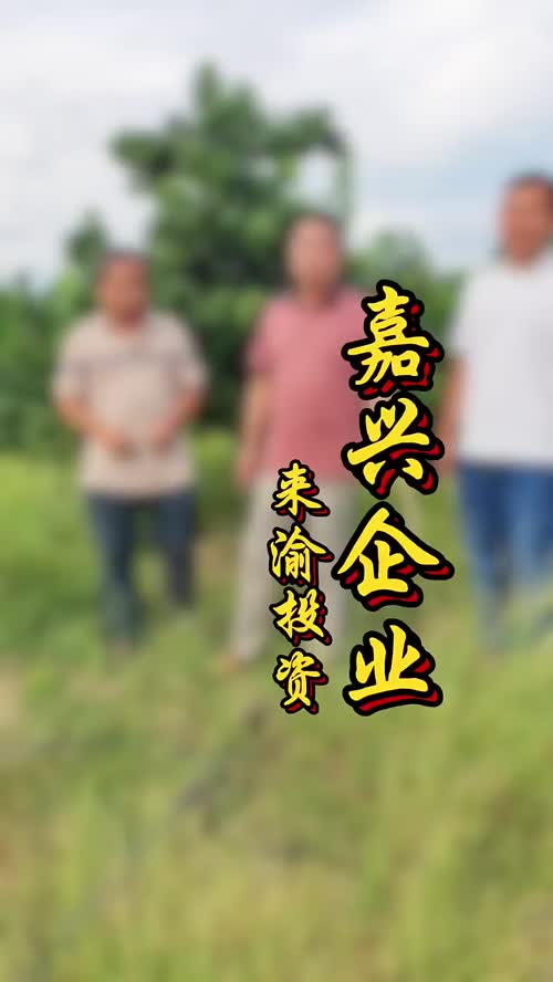 视频封面