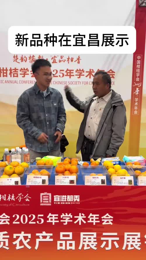 视频封面