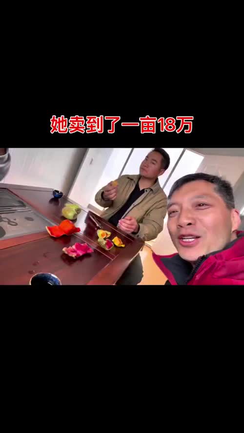 我懵逼了，云南一亩仙人掌果卖18万，大家替我算一算真假 #仙人掌果#水果里的中国