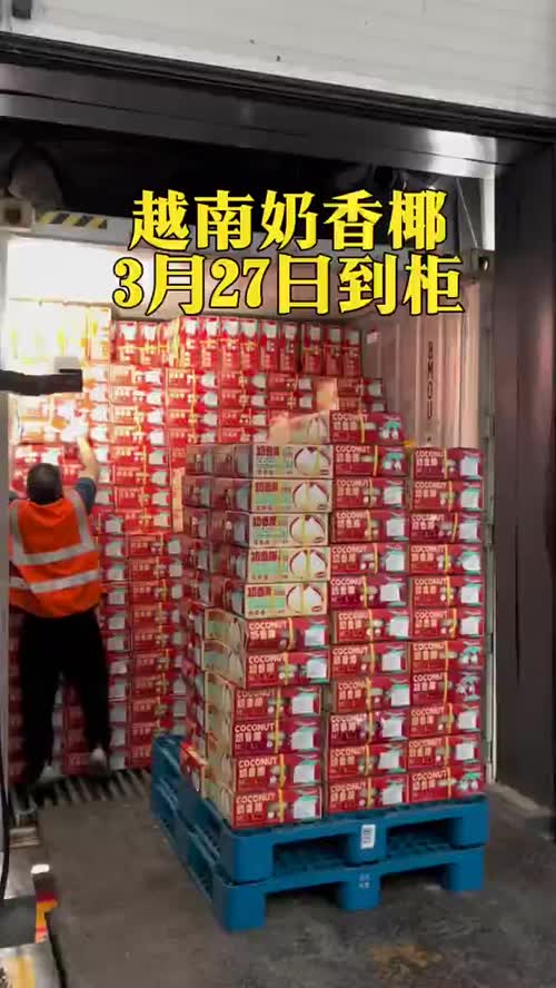 越南奶香椰3月27日到柜，明天见！#椰皇#东莞下桥水果批发市场 #东莞批发#小鹿