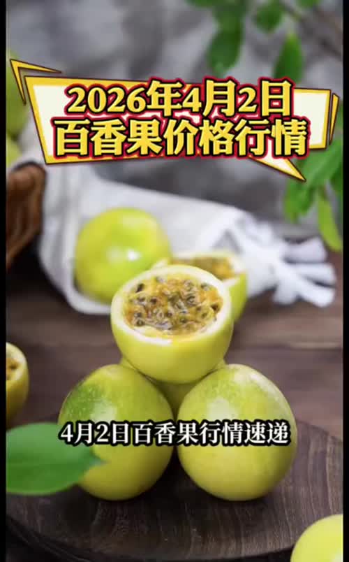 清明假期将至，带动百香果产销升温，行情有小幅上涨📈
#黄金百香果 #钦蜜9号百香