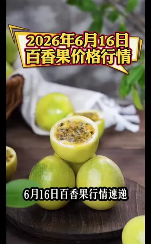 近日，两广降雨天气持续，加上端午节临近，黄金果产地行情持续升温📈
#黄金百香果 