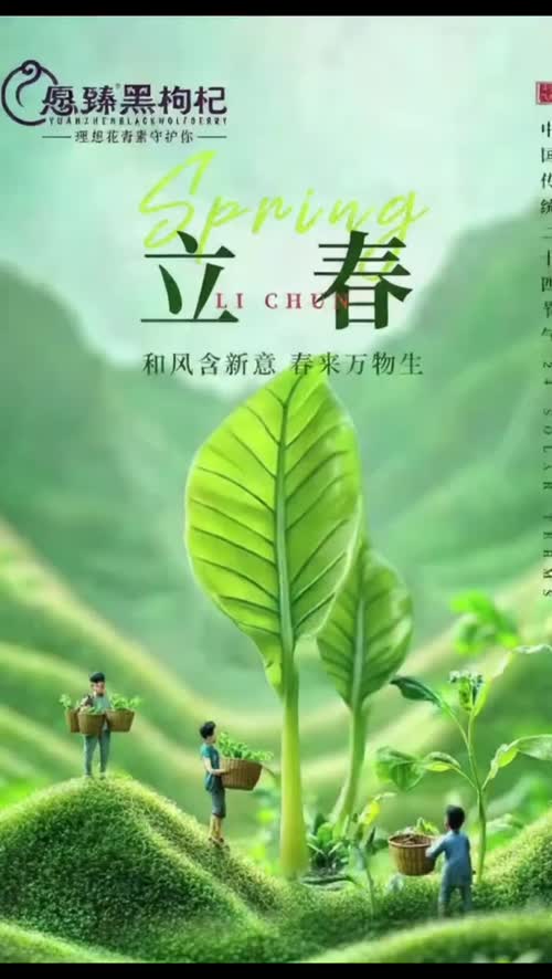 #立春 #愿臻 #愿臻黑枸杞 #春节好礼