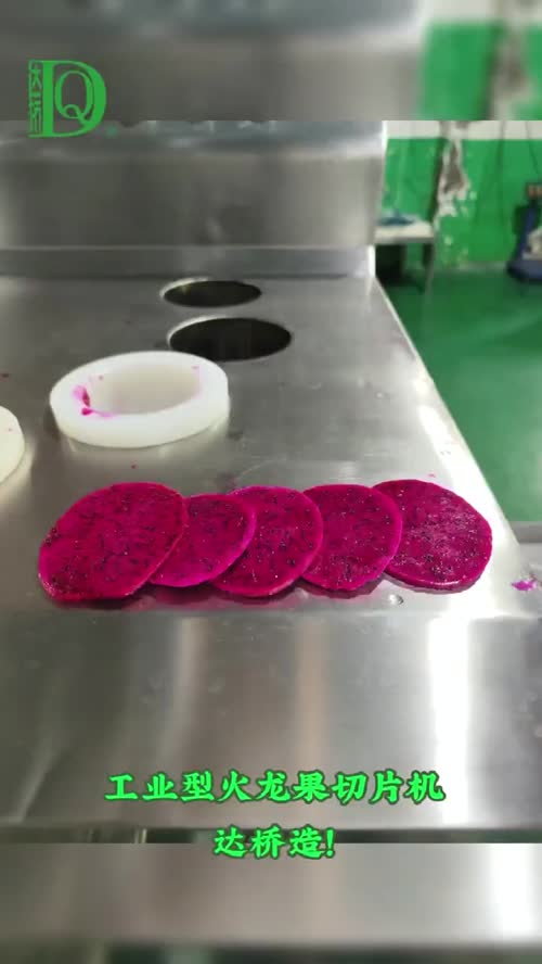 切片不碎片，秒切16片！
火龙果工业型切片机，达桥造！
秒切16片≈1.5吨/时