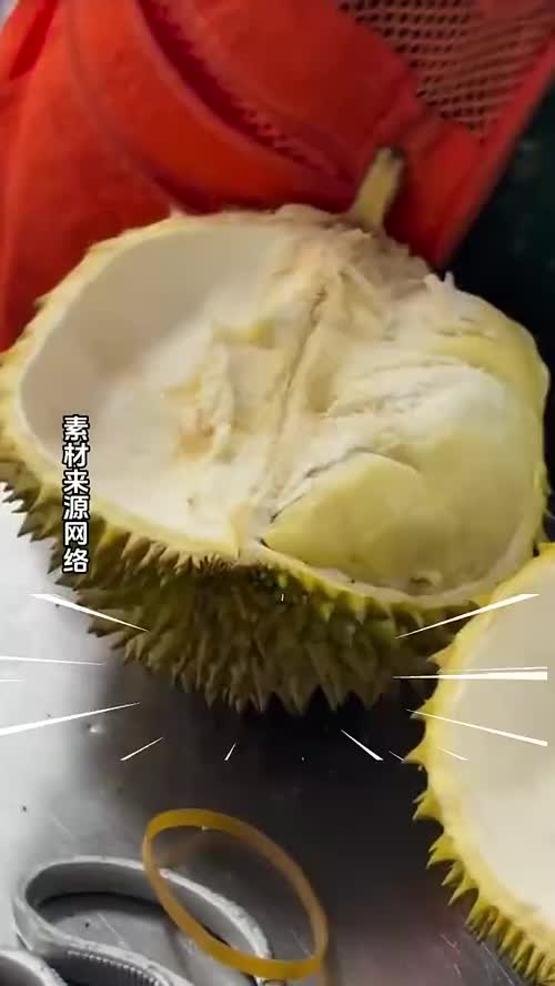 干物质（DM%）到底是啥？为啥泰国政府非要掐死这个百分比？#海南榴莲 #榴莲种植