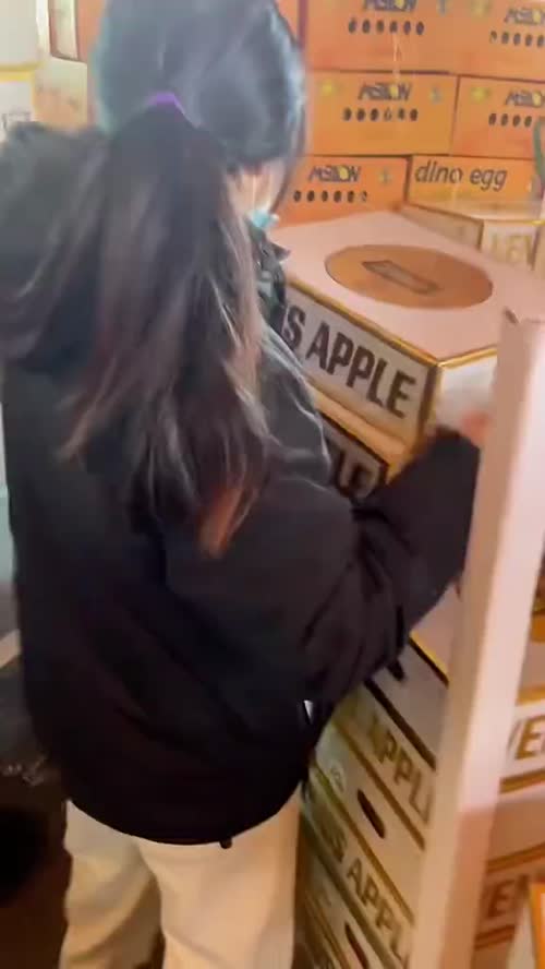 黄胖子维纳斯——春节礼盒的“流量王”！原种原株，浑然天成，过年送礼首选~#黄胖子