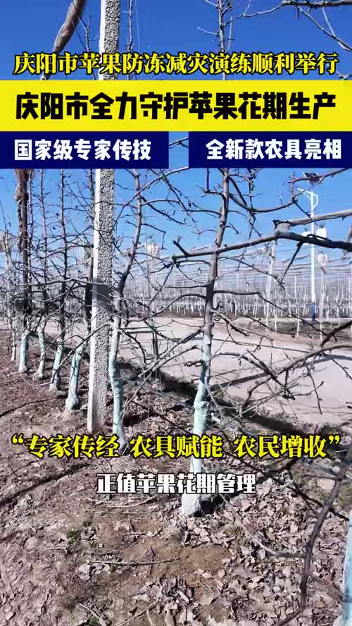 专家传经暖农心 农具赋能强防护——庆阳市果树防冻受灾演练顺利举行#庆阳苹果#果树