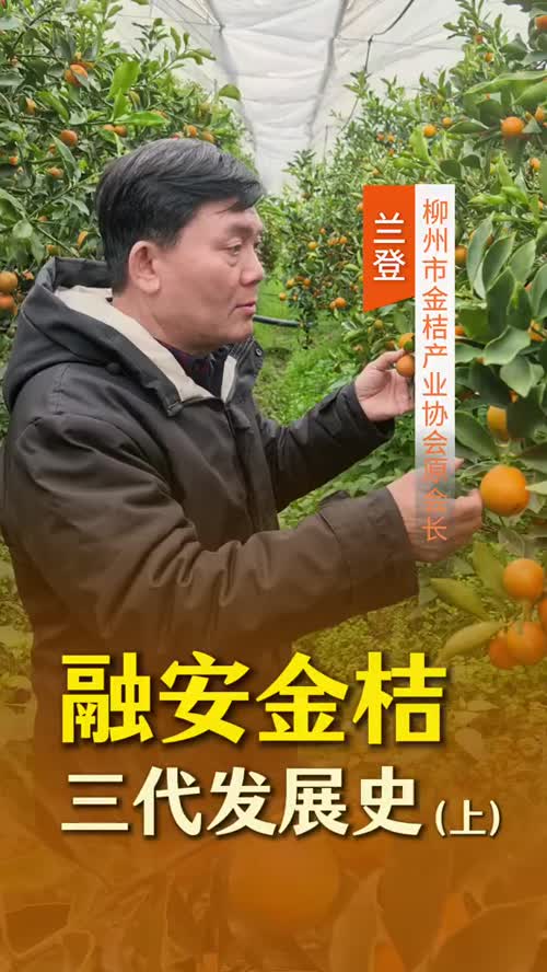 兰登，柳州市金桔产业协会原会长，曾任柳州市农业局局长、融安县委书记。对融安金桔三