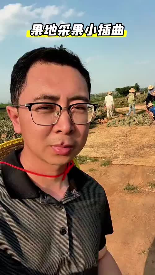 果地采果小插曲