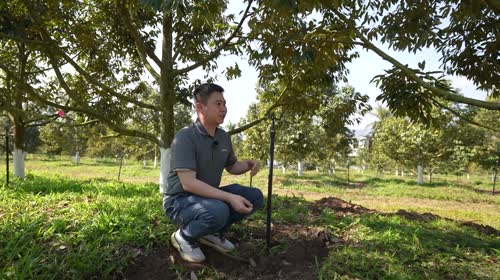 超越压力补偿喷头产品应用介绍 耐特菲姆微喷明星——超越压力补偿微喷头！
15-4