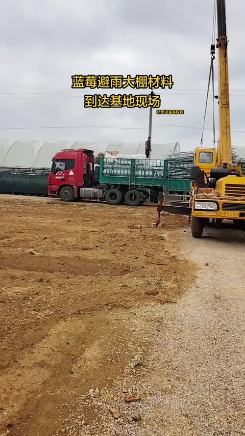 蓝莓大棚材料卸车#温室大棚安装设计 #新野温室吴程程 #蓝莓避雨棚