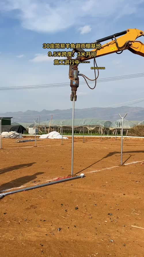 简易羊角大棚，避雨大棚#新野温室吴程程 #温室大棚安装设计 #蓝莓大棚