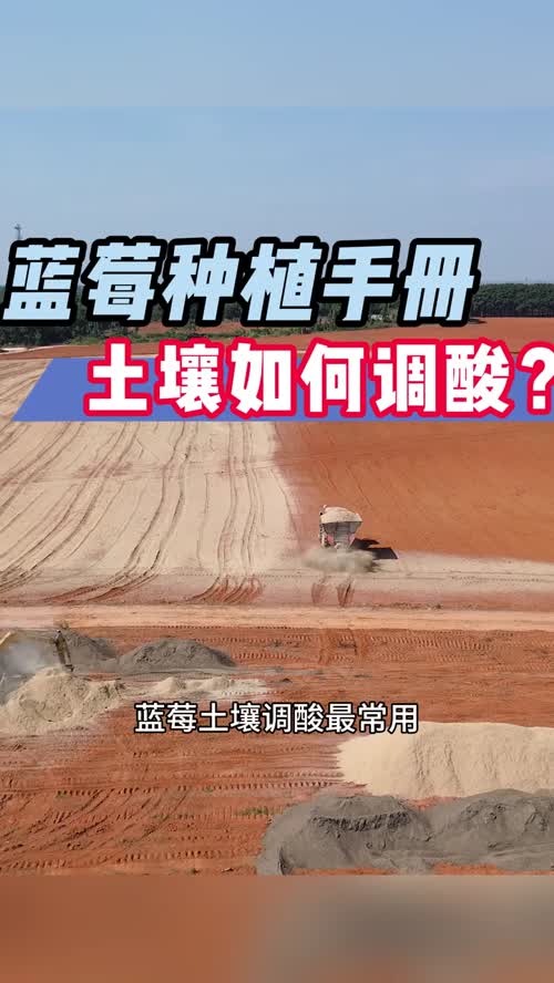 土壤如何调酸 蓝莓土壤调酸最常用且直接的方法是施用硫磺粉。一般每平方米土壤施入约