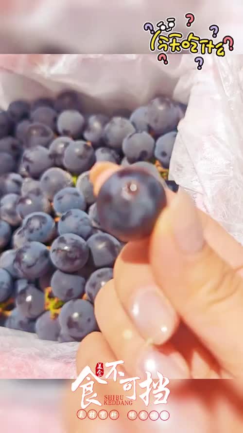 五一出门吃什么！来吃这个19.8一筐的夏黑！贼好吃！九甜一酸没有子，肉一嗦就出来