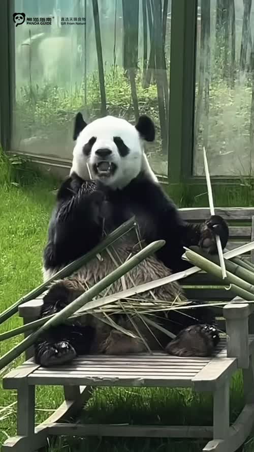 鲜味不等人，四月这一口可别错过～🐼熊猫指南2026年度4月入围榜单，赶着春天的尾