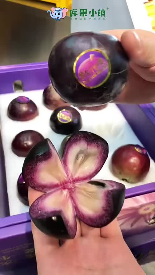 #紫金牛奶果
💜深紫色的外皮
圆嘟嘟的很大颗✨
👉切开还会流白浆🥛
果冻般软糯多