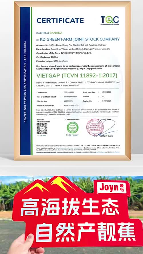 【高山超甜蕉🍌】
✅365日熟
✅生长周期🔁超过普通香蕉90➕天
软、绵、滑、糯