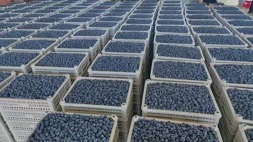 倒计时三，二，一