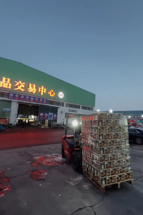 宇仙橙｜还是很受欢迎，复购好评拉满