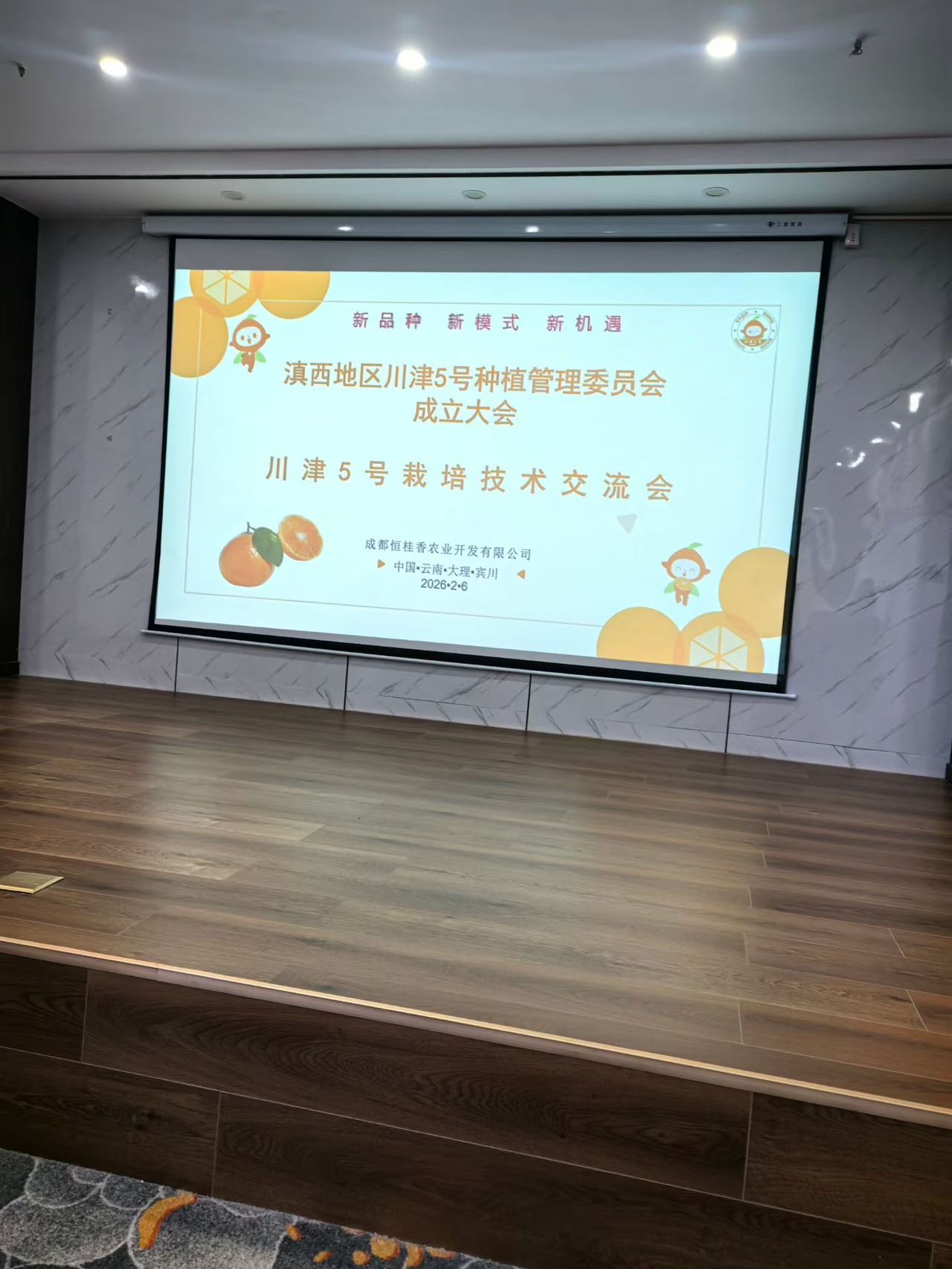 图片封面