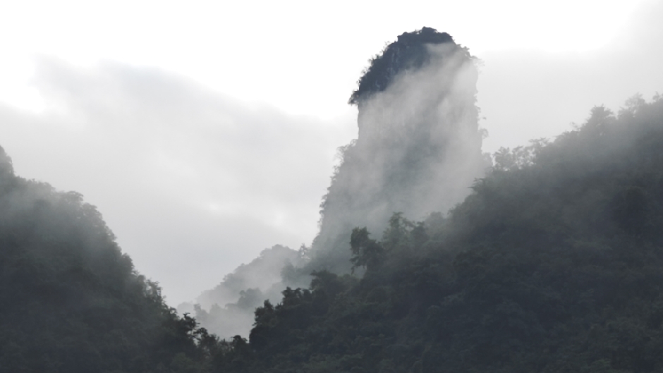 广西山水弄岗生态农业