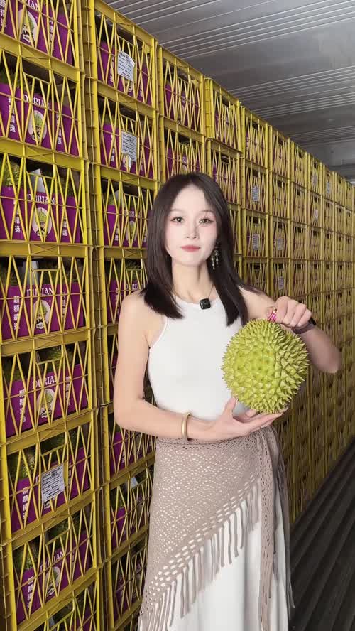 越南整柜干尧A果
