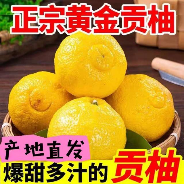黄金贡柚，产地直发，支持整车发货，一件代发，多种精品礼盒包装，口感脆甜多汁，香甜