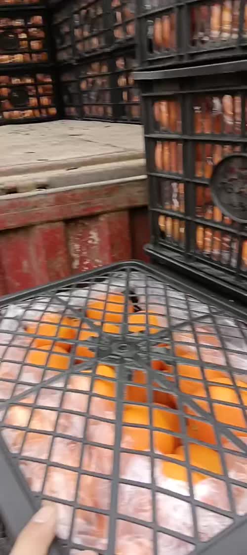 【品类】脐橙
【联系方式】杨老板  18274507610
【卖点】脐橙，精品礼