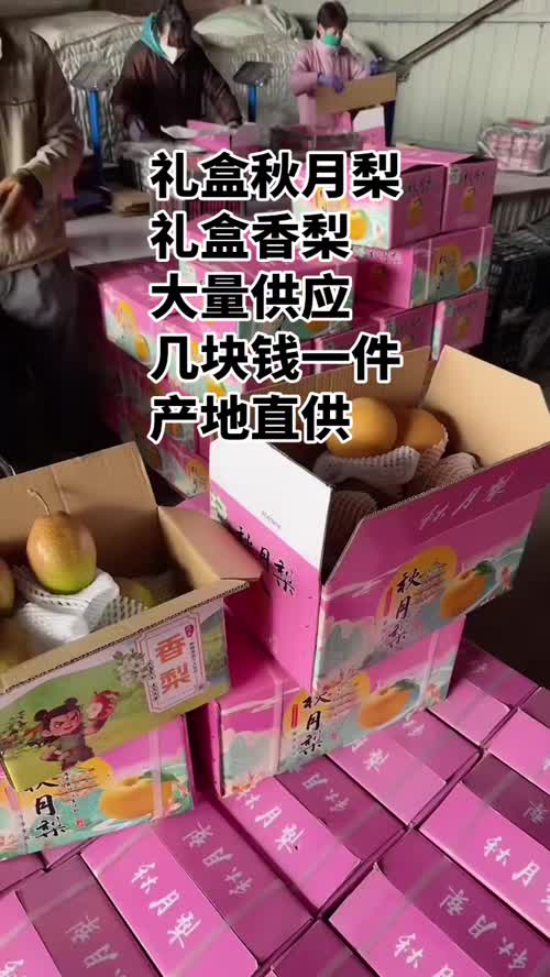 礼盒香梨继续火爆发车
​大量供应
​保质保量，质量三包
​包上车，包售后
​产地