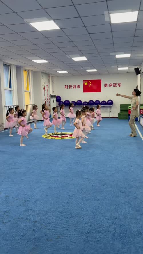 小小身躯，大大能量。